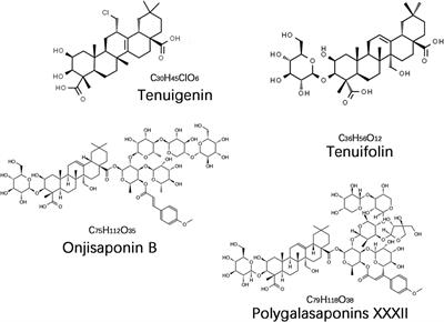 Saponin components in Polygala tenuifolia as potential candidate drugs for treating dementia